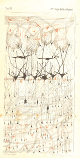 Foundations_860px-med.jpg