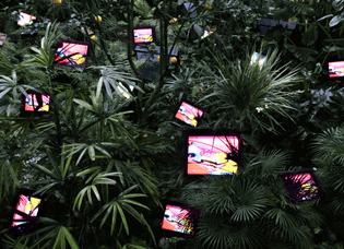 nam-june-paik-tv-garden-1974-2002-version-video-installation-with-color-television-sets-and-live-plants-dimensions-vary-with...