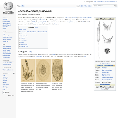 Leucochloridium paradoxum - Wikipedia