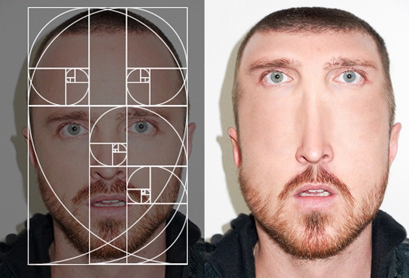 fibonacci-celebrities-designboom-05.jpg