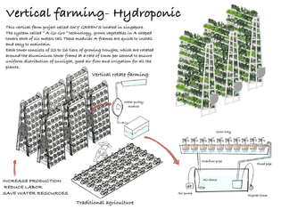 WEEK5 Developing the concept of vertical farming