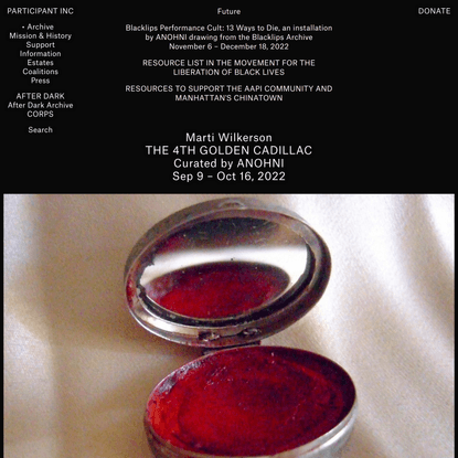 PARTICIPANT INC | Archive