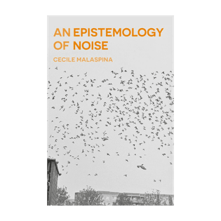 An Epistemology of Noise