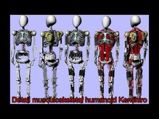 Robot Copies Your Muscles and Bones