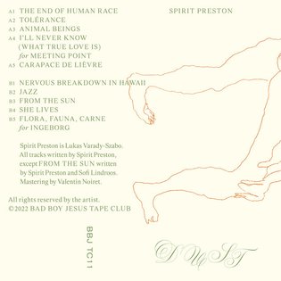 Dust, by Spirit Preston