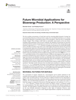 Future Microbial Applications for Bioenergy Production: A Perspective