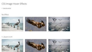Demo: CSS image hover effects