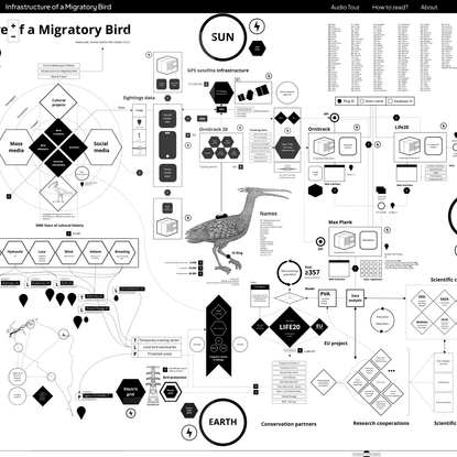 Infrastructure of a migratory bird