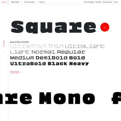 Square | Blaze Type