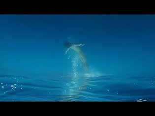Ichiko Aoba - Porcelain (Official Music Video)