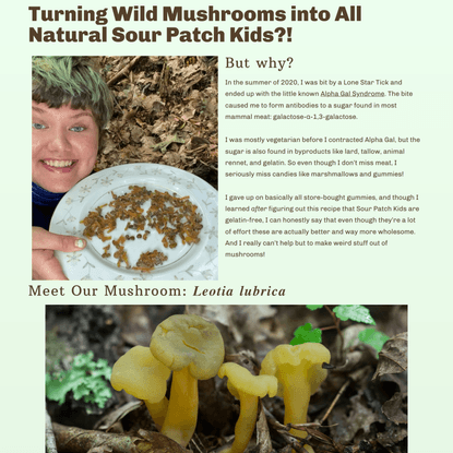 Turning Mushrooms into All-Natural Sour Patch Kids – Mushroom Queer