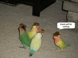 https://twitter.com/lil_gods_fave/status/1575518320136228864