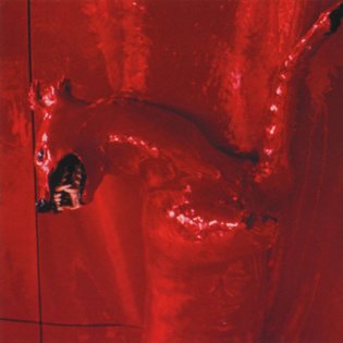 A Red Score in Tile, by William Basinski