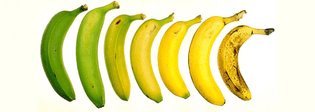 banana-1920x680.jpg