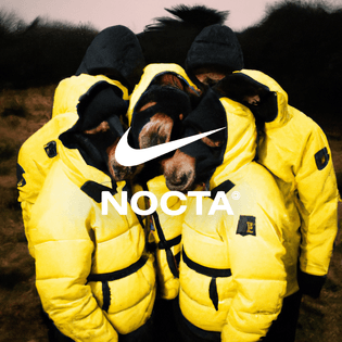nocta02.png