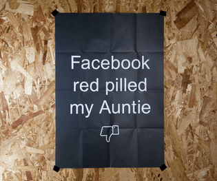 Facebook red pilled my Auntie