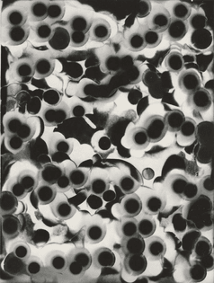 heliograph1.jpg