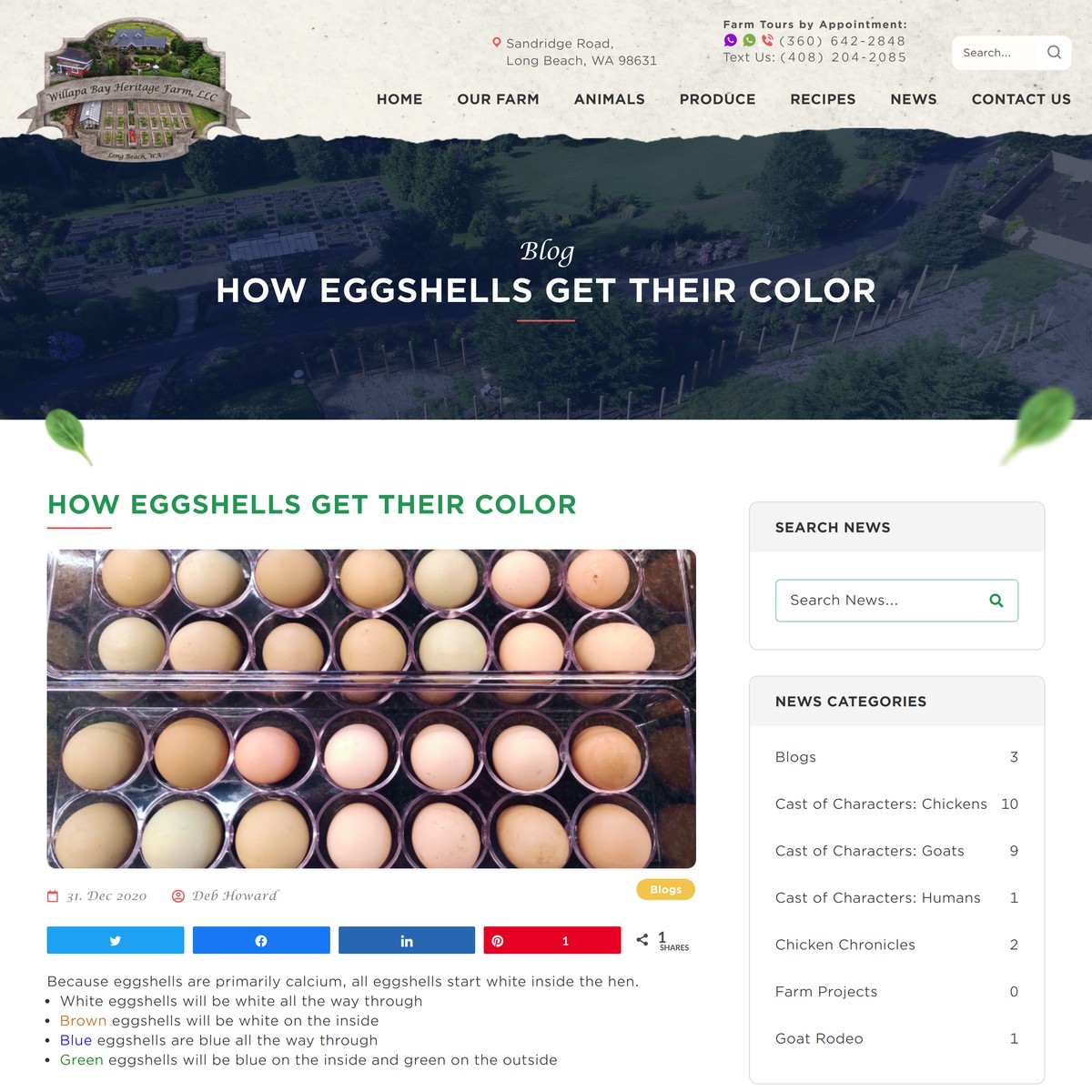 How Eggshells Get Their Color Willapa Bay Heritage Farm — Are.na