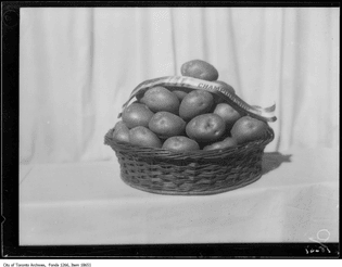 Just pause for a moment and contemplate this perfect basket of potatoes. S.E. Griffin and Son of R.R. 2 Acton cleaned up in four of the five potato competitions at the Royal Winter Fair in 1929, and we can see why. 