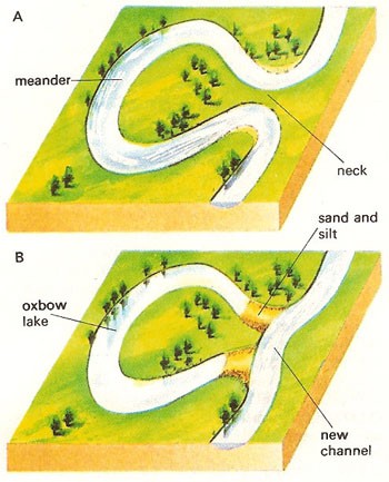 Oxbow lake formation — Are.na