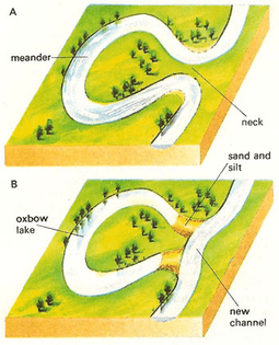 Oxbow lake formation