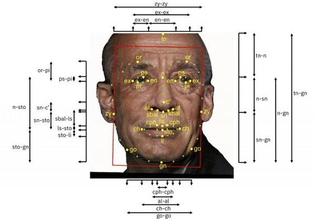 measures of facial diversity