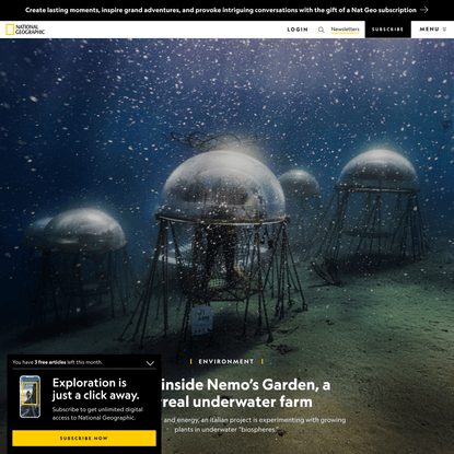 Look inside Nemo’s Garden, a surreal underwater farm