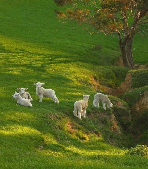 original_64af317353575314ae42ae0a94de6066.jpg?1667866344?bc=0