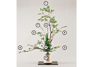 ikebana-positions.jpg