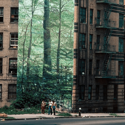 @organiclab.zip on Instagram: "Forest Mural in the Bronx, 1983. Photographed by Thomas Hoepker"