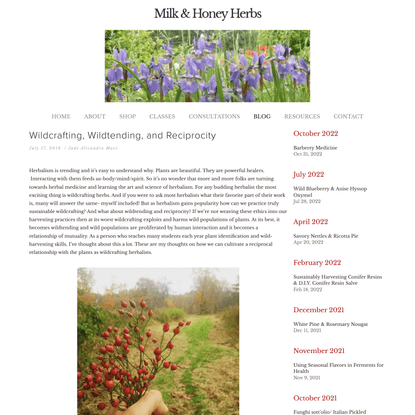 Wildcrafting, Wildtending, and Reciprocity — Milk &amp; Honey Herbs