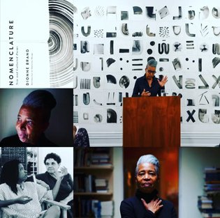"To Share Equally The Benefits of Living" - Dionne Brand on Nomenclature, Sanctioning All Revolts, and Registering Black Dur...
