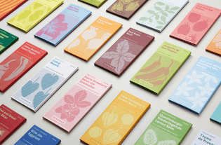 03-Piccolo-Seeds-Branding-Packaging-Design-Here-Design-London-UK-BPO.jpg