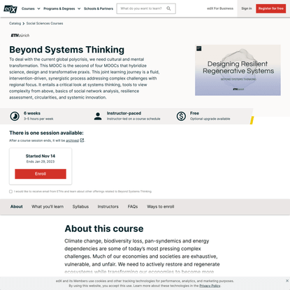 Beyond Systems Thinking