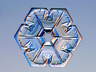 Plate Snowflake