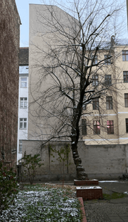 Unknown Berlin courtyard, 2022