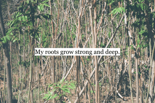 My roots grow strong and deep.
