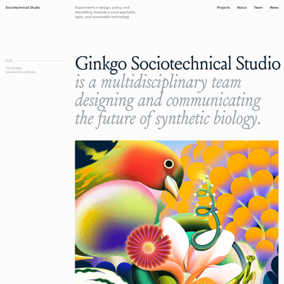 Ginkgo Sociotechnical Studio