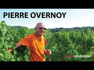 PIERRE OVERNOY | A Natural Wine Legend from Jura