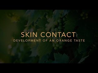 Skin Contact: Development of an Orange Taste