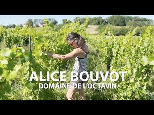 Domaine de l'Octavin | Alice Bouvot