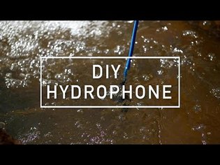 DIY Hydrophone
