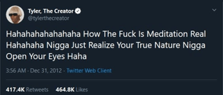 how-is-meditation-real-tyler-the-creator.jpeg