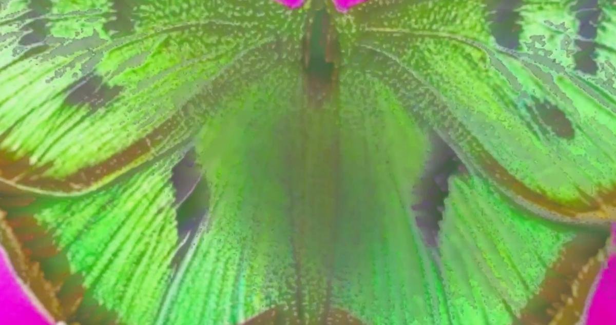 cleanshot-2022-12-01-at-11.26.11@2x.png