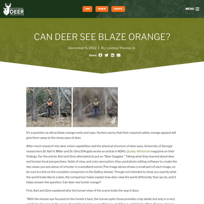 Can Deer See Blaze Orange? | National Deer Association