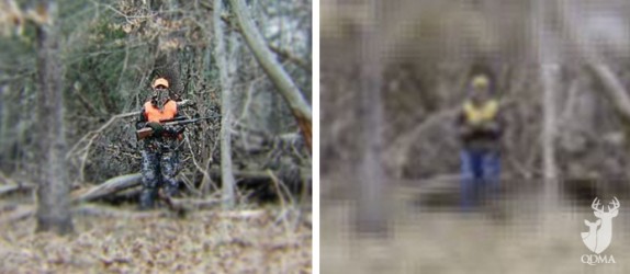 human_vs._deer_lead_574_250_s.jpg