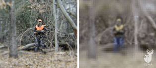 human_vs._deer_lead_574_250_s.jpg