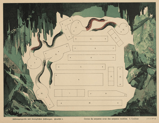 04-schlangengrotte-grotte-de-serpents-1899_900.jpg