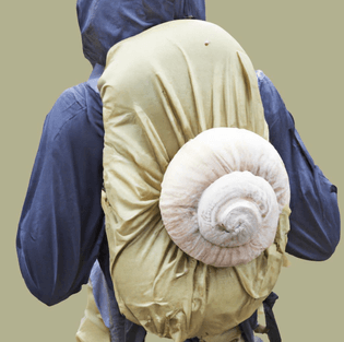 Snail Shell Backpack