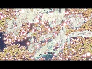 Concave Reflection - Abre Tu Mente